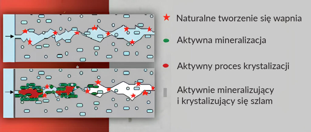 działanie szlamu do hydroizolacji